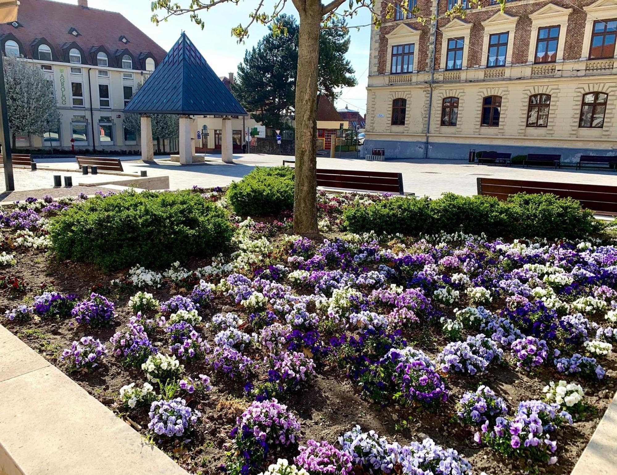 Ciao Lilla Apartman Keszthely Kültér fotó