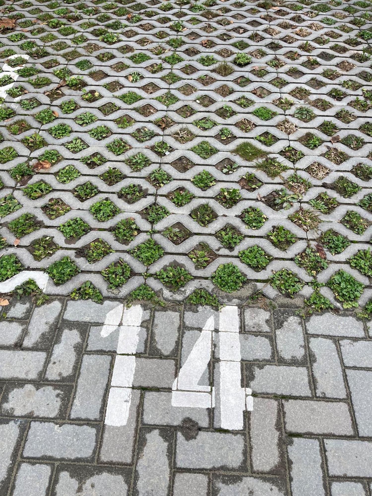 Ciao Lilla Apartman Keszthely Kültér fotó